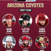 Arizona Coyotes Quarter-Century teams