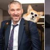 Alex Ovechkin hangs with corgis Capitals Canines Night