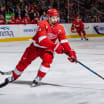 Detroit Red Wings ready for challenge of tough upcoming schedule