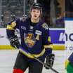 Top 10 defensemen in 2025 NHL Draft