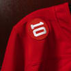 Detroit Red Wings jersey patch Alex Delvecchio