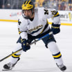 Edmonton Oilers draft pick Aidan Park thriving as freshman at Michigan