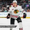 Louis Crevier Blackhawks Chicago saison d'éclosion