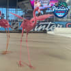2026 NHL Winter Classic setup includes flamingos, palm trees