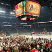 NHL Power Player experiences 3 Stanley Cup clinchers in 3 straight years