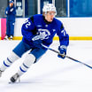nhl fantasy hockey podcast betting pools futures