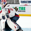 Capitals Recall Mitch Gibson