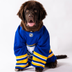 buffalo sabres team dog 2025-26 mac