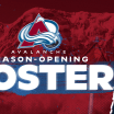 Avalanche Reduce Roster by Nine