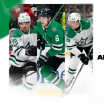 Dallas Stars recall forward Mavrik Bourque and defensemen Lian Bichsel and Alexander Petrovic from Texas Stars 051524