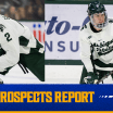 buffalo sabres prospects report patrick geary maxim strbak