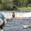 seattle-kraken-mascot-buoy-alaska-bear-run-in-ft