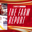 The Farm Report - 21.10.24 