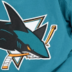 San Jose Sharks 2024 Training Camp update