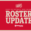 Red Wings reduce roster to 23