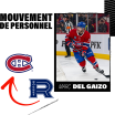 Marc Del Gaizo rappelé du Rocket de Laval