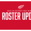 Red Wings trim roster to 23