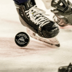 AHL Game Day: IceHogs vs. Admirals, Game 2 - 2025_05_03
