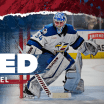 Avalanche Sign Scheel