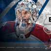 Avalanche Signs Miner