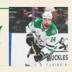 Game Day Guide: Dallas Stars at Seattle Kraken 112625