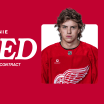 Red Wings sign forward Emmitt Finnie to three-year entry-level contract