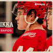 Red Wings assign Axel Sandin-Pellikka to Grand Rapids