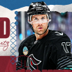 Avalanche Signs Schwartz