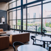 The Wild Lounge