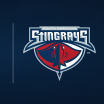 Capitals Extend ECHL Affiliation with South Carolina Stingrays