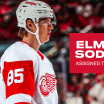 Red Wings assign Elmer Soderblom to Grand Rapids