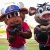 Durham Bulls to Host "Hockey Night" On September 12
