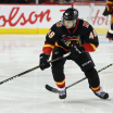 Flames Recall Brzustewicz