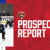 Panthers Prospect Report | April 26, 2024