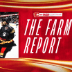 The Farm Report - 28.10.24 