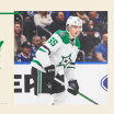Game Day Guide: Dallas Stars at Tampa bay Lightning 103025