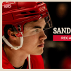 Red Wings recall Axel Sandin-Pellikka from Grand Rapids under emergency conditions