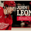 Red Wings recall John Leonard from Grand Rapids under emergency conditions