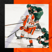 Recap: Ducks Can't Hold Late Lead, Fall 3-2 in OT to Wild