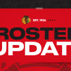 RELEASE: Blackhawks Recall Commesso from Rockford