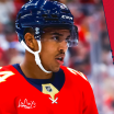 Capitals Sign Justin Sourdif 