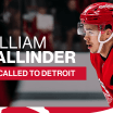 Red Wings recall William Wallinder from Grand Rapids