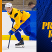 buffalo sabres prospects report melvin novotny