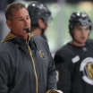 Vegas Golden Knights Announce Roster Transactions