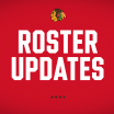 RELEASE: Blackhawks Activate Kaiser off IR, Assign Phillips to Rockford