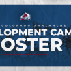 Avalanche Announce 2025 Development Camp Roster