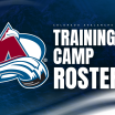 Avalanche Announce 2025 Training Camp Roster