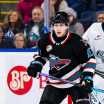 Under the Microscope: Czech goaltenders