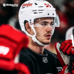 Red Wings sign William Wallinder to two-year, two-way contract extension