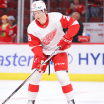 Nate Danielson knowing what to expect in 1st full pro season for Detroit Red Wings